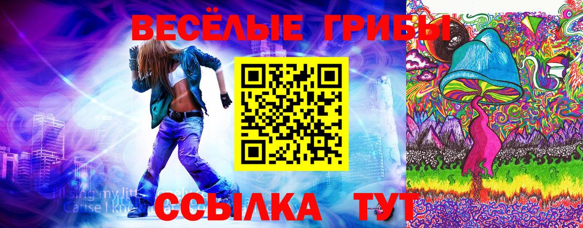 Псилоцибиновые грибы Psilocybine cubensis  Вход с VPN  Галлюциногенные грибы GOLDEN TEACHER  Кубинка 